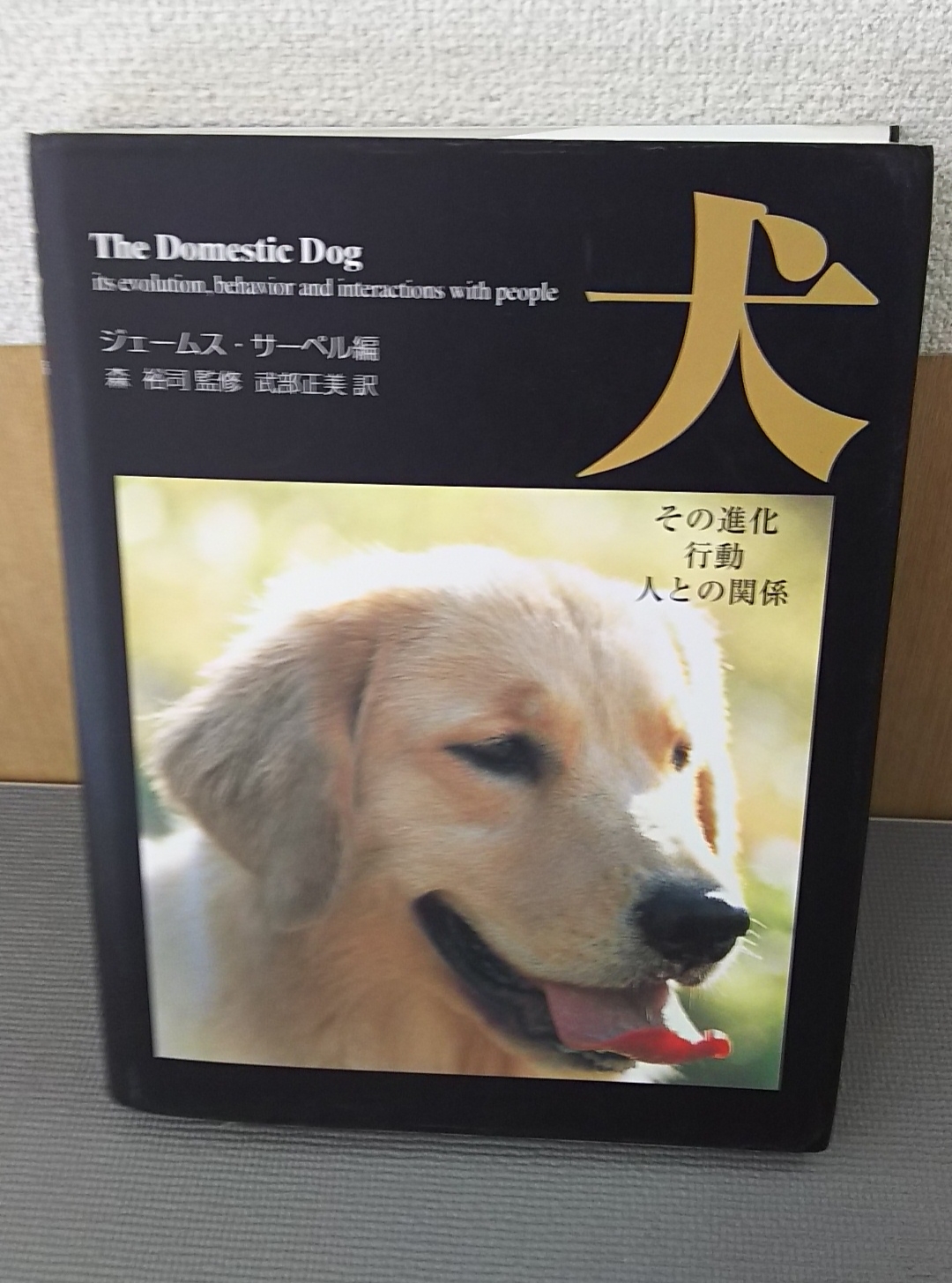 犬　その進化　行動　人との関係