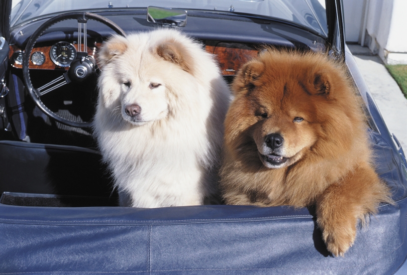 東村山市秋津　アクセス　車　徒歩　駅ちか　