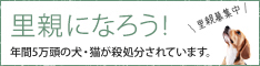 里親になろう
